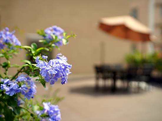 Lilium elysees Hotel (Guangzhou Railway Station Subway Station Baima Clothing City Market)
