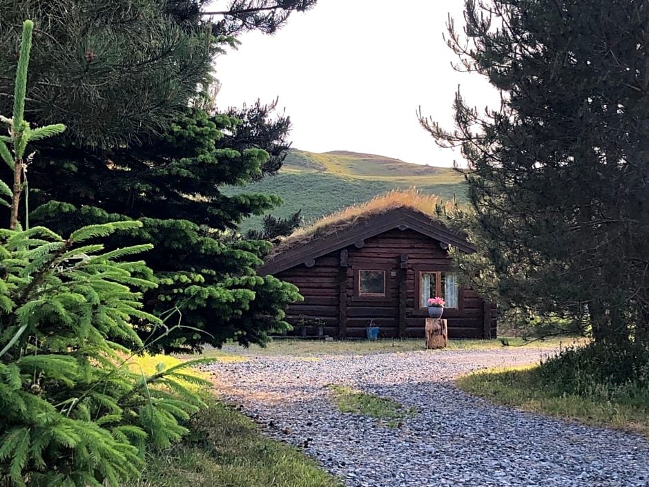 Log home village