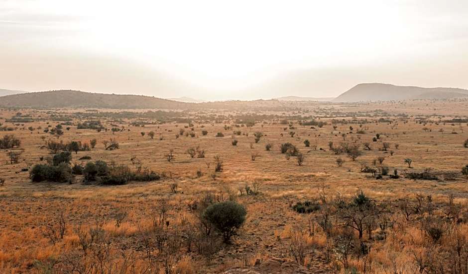 Lush Private Game Lodge