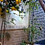 Riad Maizie