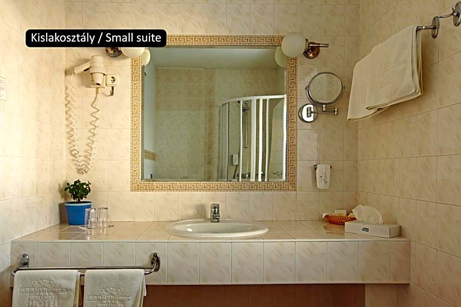 Aranyhomok Hotel Business & Relax