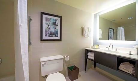 King Room with Roll-in Shower - Mobility and Hearing Accessible/Non-Smoking