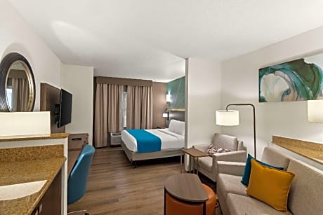 1 King Bed Suite Nonsmoking Accessible