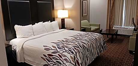 Suite King Room Non-Smoking