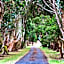 Clarendon Chalets