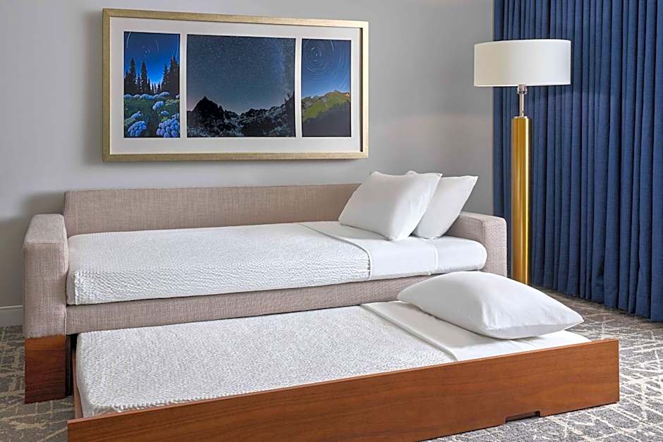 SpringHill Suites by Marriott Denver Downtown