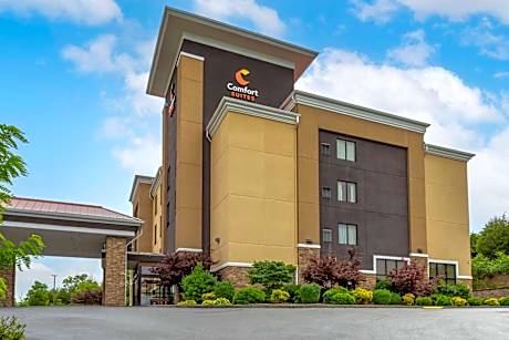 Comfort Suites Kingsport South