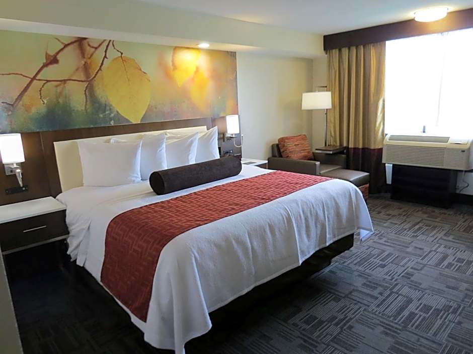 Holiday Inn Brookfield - Milwaukee By IHG