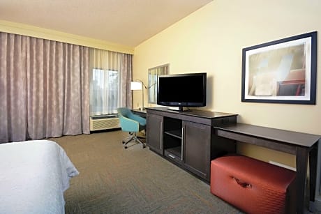 1 King Bed With Sofabed And Wetbar Nonsmoking