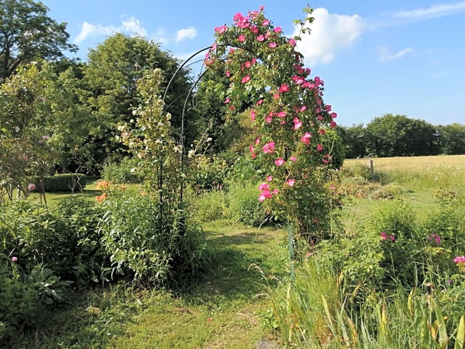 Les Berges de la Planchette
