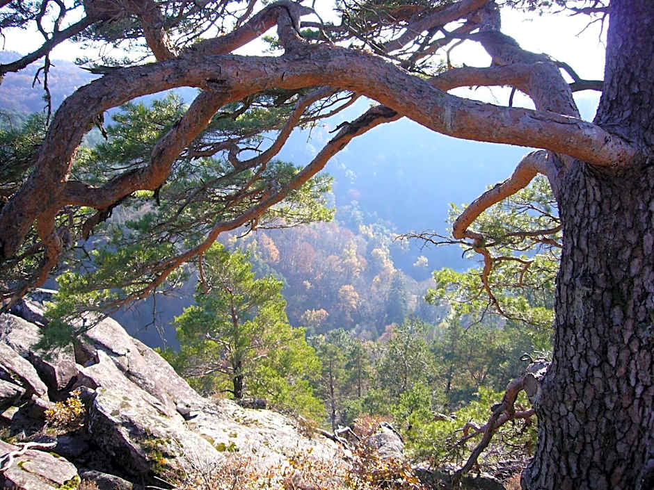 B&B Le Saut de la Bergère