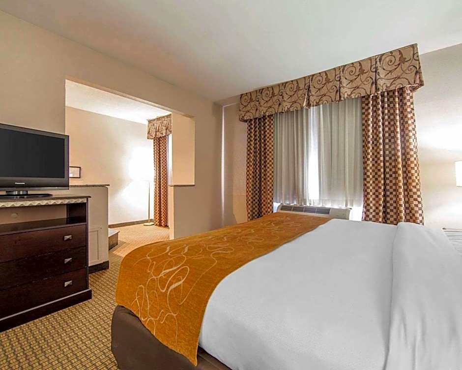 Comfort Suites London South