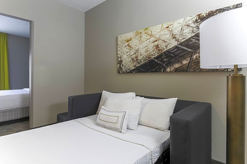 SpringHill Suites by Marriott Austin Parmer/Tech Ridge
