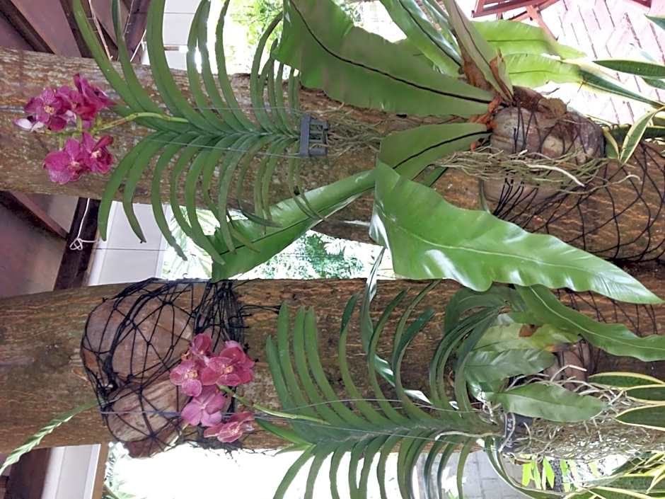 Carana Hilltop Villa Seychelles