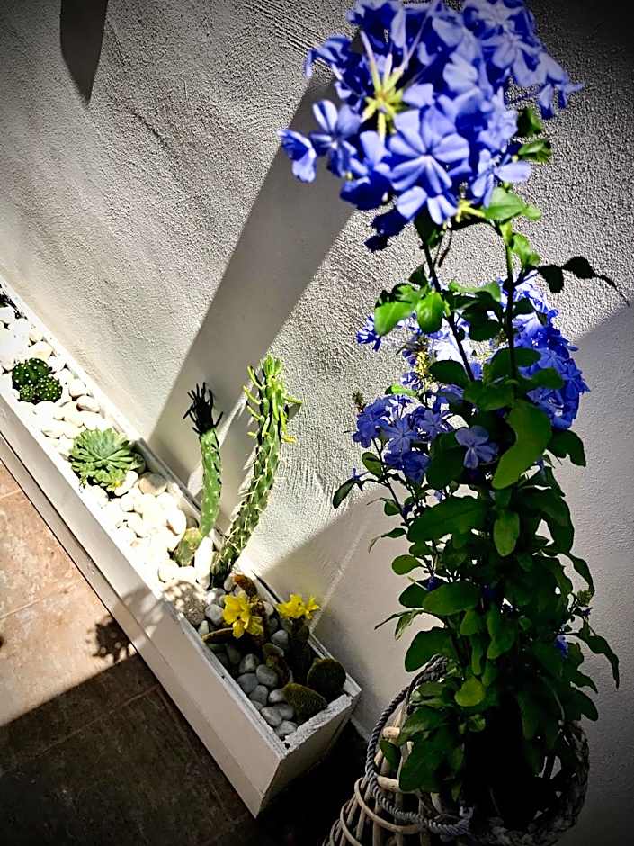 Le Statuine Dimore Diffuse