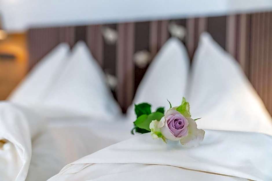 Aktivhotel Pehab - Dachstein Rooftop-Spa