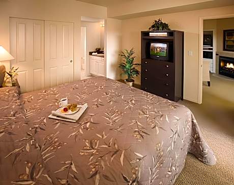 1 Bedroom Condo