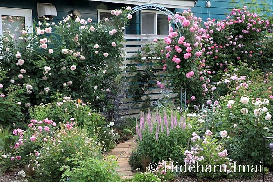 Kitasaku District - Hotel - Vacation STAY 89259