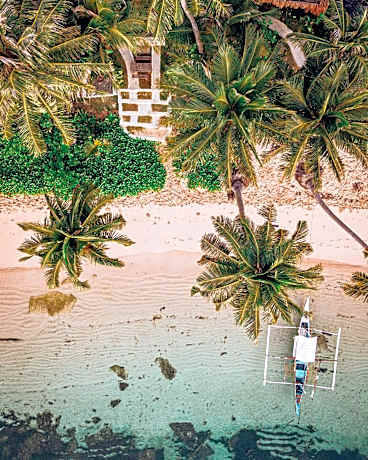 ShakaBrah Beachfront Surf Skate Hostel
