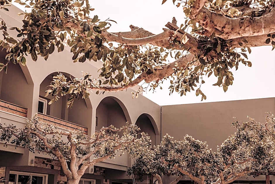 Cook’s Club Tigaki Kos