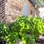 Al Yakhour Hostel