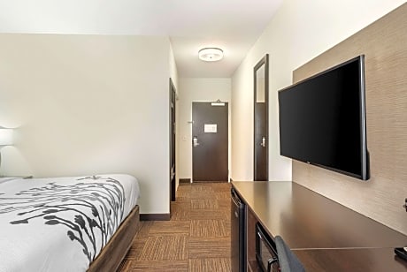 1 King Bed, Nonsmoking, Accessible