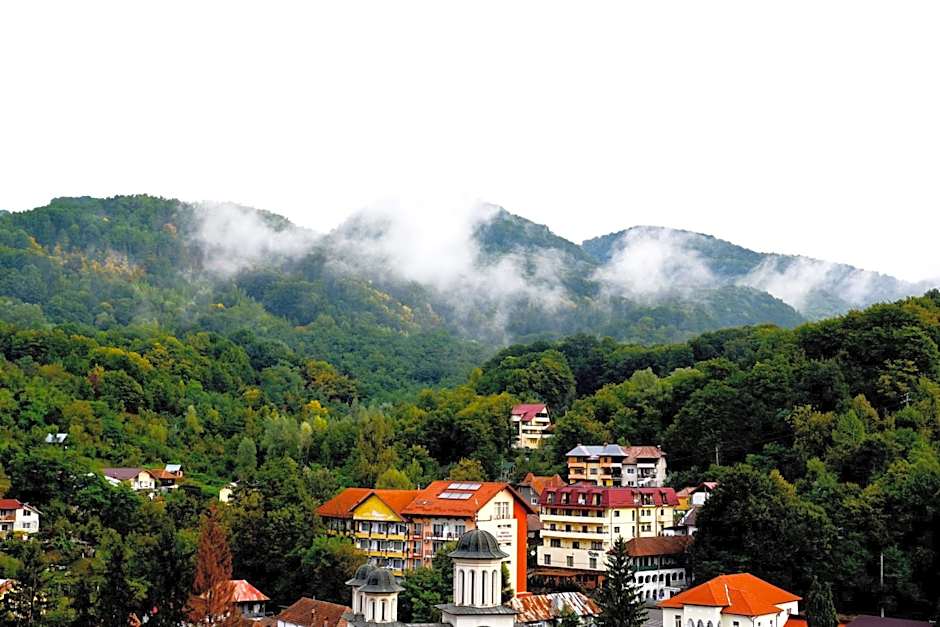 Hotel Olanesti & Spa Medical