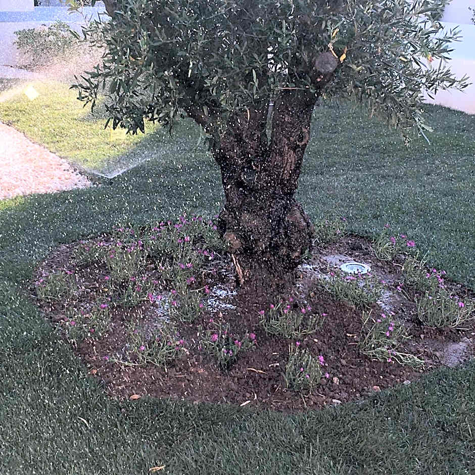 La Casa di Francesca B&B