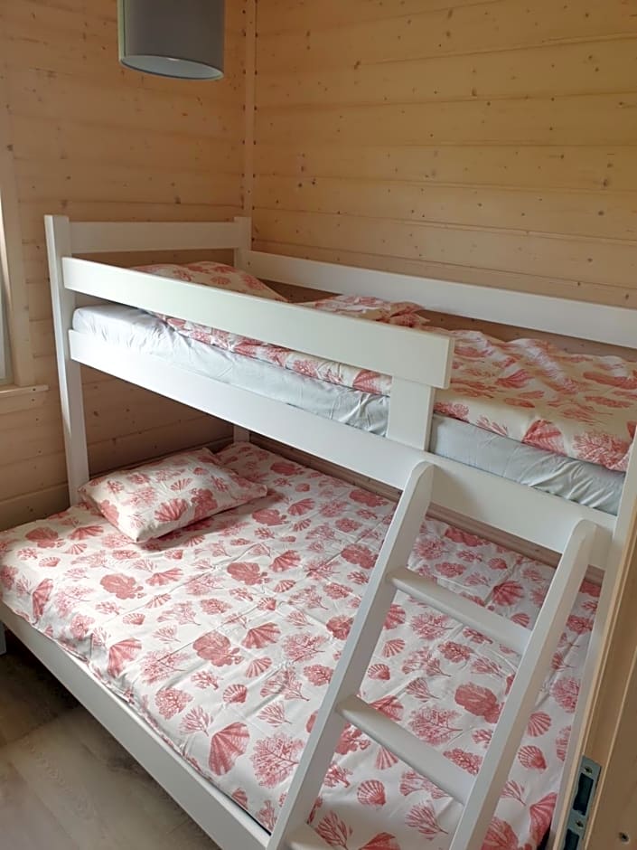 Szara Gąska w Gąskach