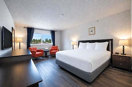 Hotel International
