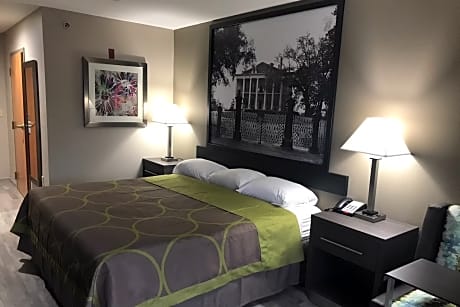 1 King Bed Studio Suite Smoking