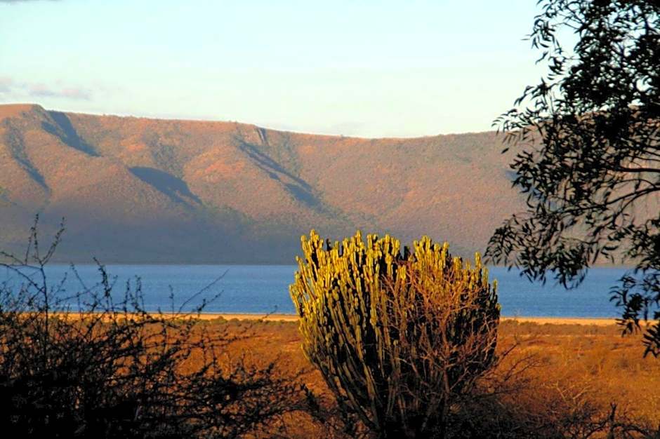 White Elephant Safaris