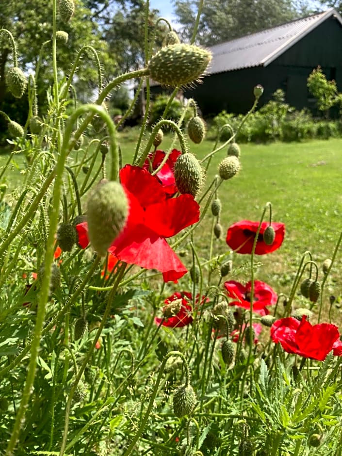 B&BOosterweg3 Studio - Free private parking