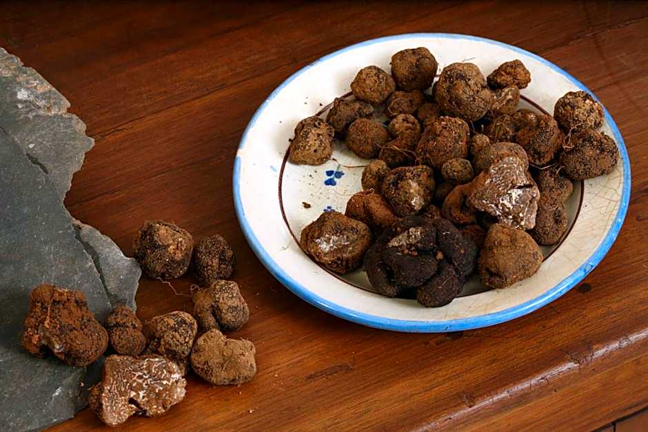 Logis Hotel Restaurant Du Commerce