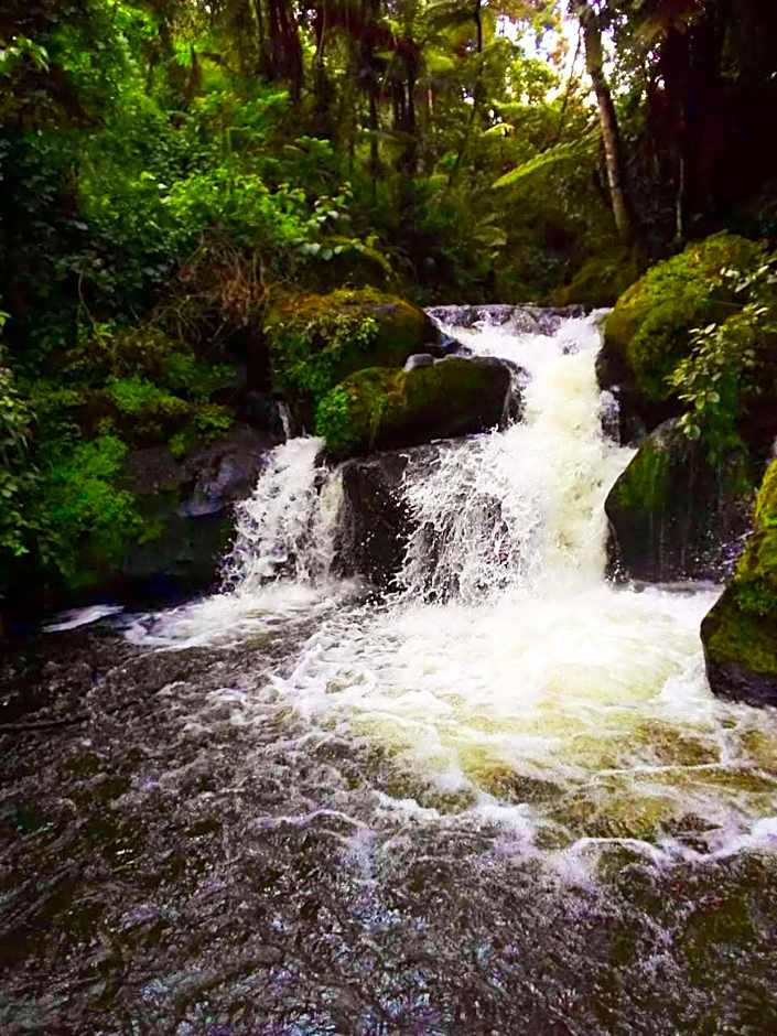 Ranges View Lodge - Aberdare Safari in Murang'a