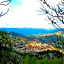 Mountain Rose Hotel & Restaurant