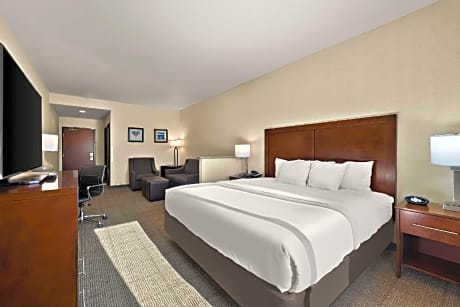 1 King Bed, Suite, Nonsmoking