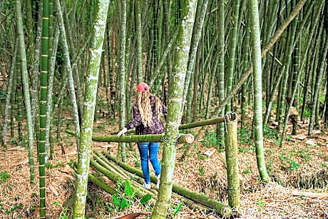 Hotel Casa San Carlos Lodge