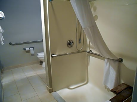 Queen Room with Roll-In Shower - Mobility/Hearing Accessible - Non-Smoking