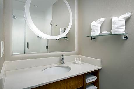 Studio Accessible King Size Bed