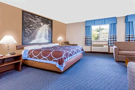 1 King Bed Mobility Accessible Studio Suite Non-Smoking