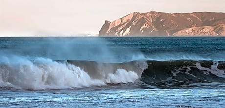 Ocean View Beachfront Apartment