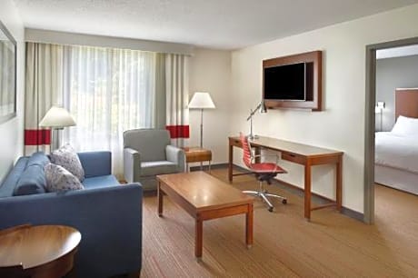 Suite with 1 King Bed