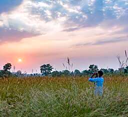 Pugdundee safaris - Tree House Hideaway
