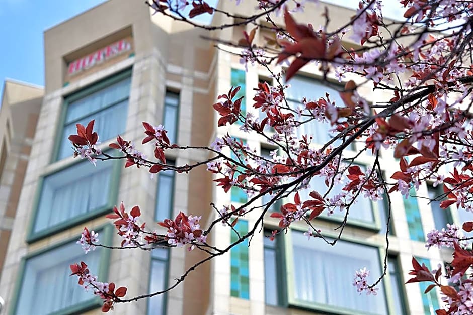 Magnolia Hotel & Spa