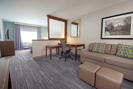 1 King Junior Suite Hearing Accessible