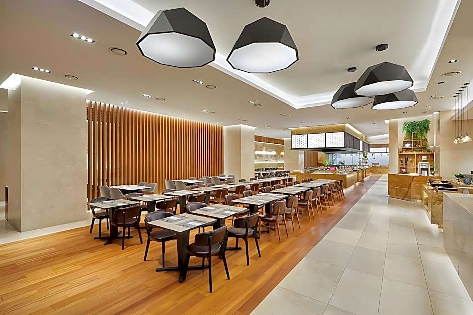 HOTEL SKYPARK CENTRAL SEOUL PANGYO 