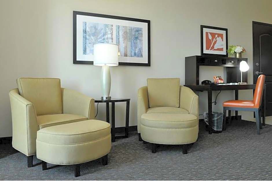 Staybridge Suites St. Petersburg FL By IHG