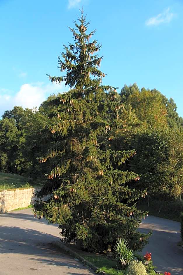 Posada Calera