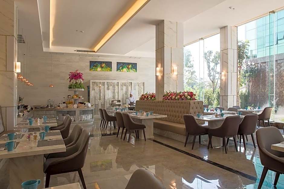 Elegant Airport Hotel